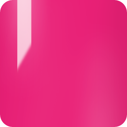 Wild Fuchsia #498 [4]
