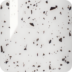 Top Eggshell [5]