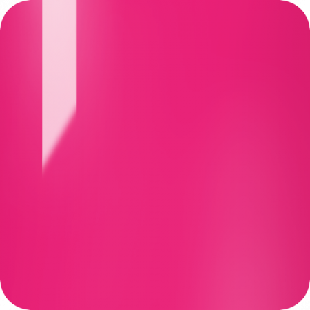 Wild Fuchsia #498 [3]