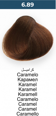 Vopsea profesională permanentă - 6.89 Caramel