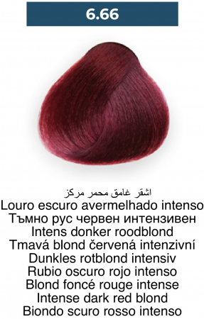 Vopsea profesională permanentă - 6.66 Blond inchis rosu intens