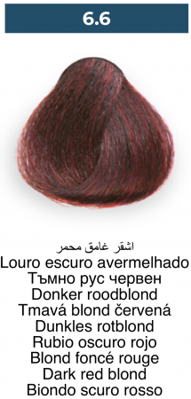 Vopsea profesională permanentă - 6.6 Blond inchis rosu