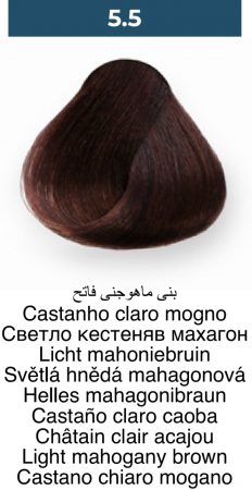 Vopsea profesională permanentă - 5.5 Maro mahon deschis