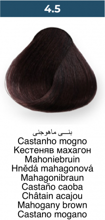 Vopsea profesională permanentă - 4.5 Maro mahon