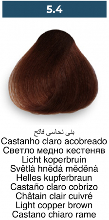 Vopsea profesională permanentă - 5.4 Maro aramiu deschis