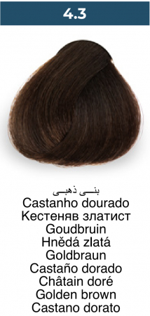 Vopsea profesională permanentă - 4.3 Castaniu