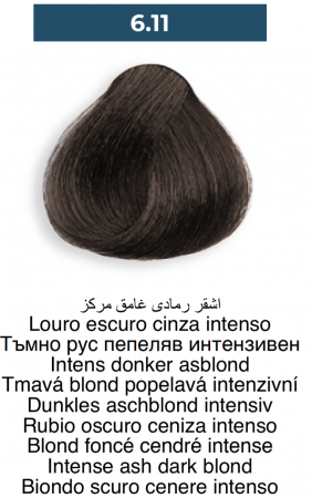 Vopsea profesională permanentă - 6.11 Blond cenușiu închis intens