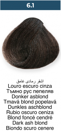 Vopsea profesională permanentă - 6.1 Blond cenușiu închis