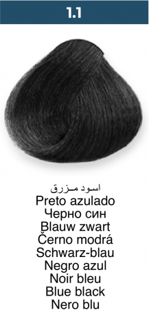 Vopsea profesională permanentă - 1.1 Negru albăstrui
