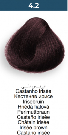 Vopsea profesională permanentă - 4.2 Maro violet