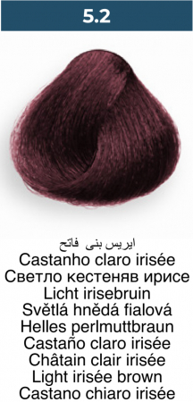 Vopsea profesională permanentă - 5.2 Maro deschis violet