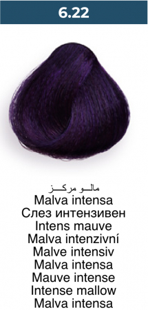 Vopsea profesională permanentă - 6.22 Violet intens