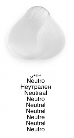Vopsea profesională permanentă - 00 Neutru