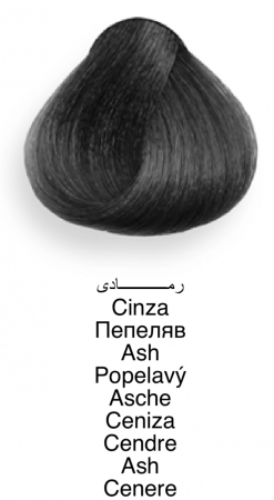 Vopsea profesională permanentă - Booster Gri