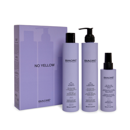 Întreținere Blond - Kit No Yellow