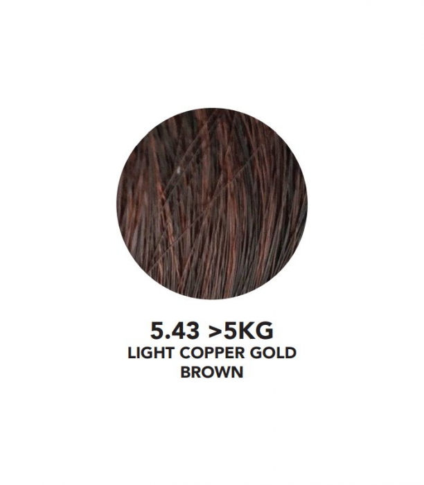 VOPSEA SEMIPERMANENTA (5.43-5KG Light Copper Gold Brown )100 ml  FARA AMONIAC YOU UP2 [2]