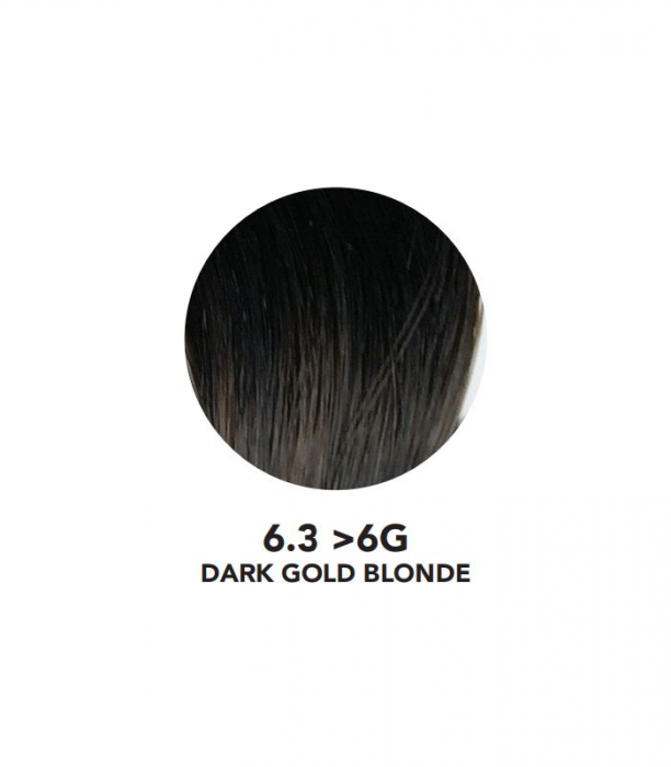 VOPSEA SEMIPERMANENTA (6.3-6G Dark Gold Blonde) 100 ml FARA AMONIAC YOU UP2 [2]
