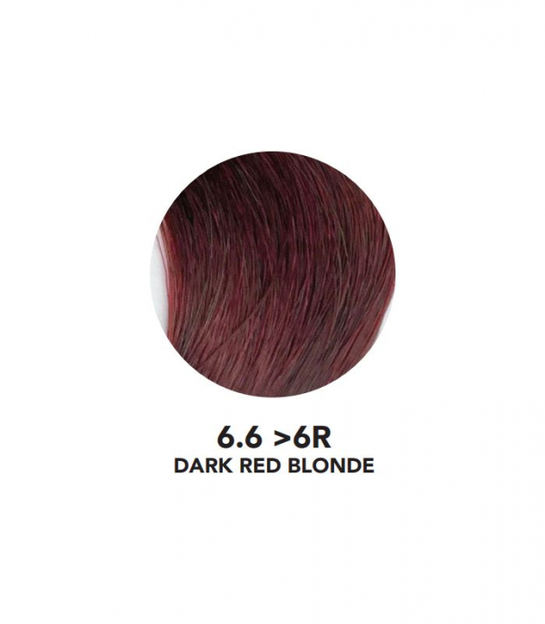 VOPSEA SEMIPERMANENTA  (6.6-6R Dark Red Blonde ) 100 ml FARA AMONIAC YOU UP2 [2]
