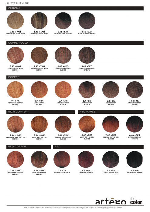 Catalog vopsea profesionala Artego it's color [5]