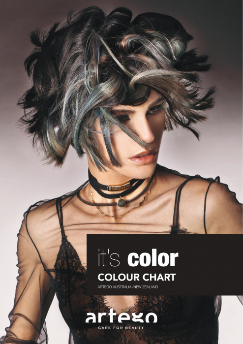 Catalog vopsea profesionala Artego it's color [1]
