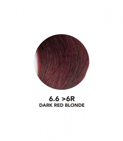 VOPSEA SEMIPERMANENTA  (6.6-6R Dark Red Blonde ) 100 ml FARA AMONIAC YOU UP2 [1]