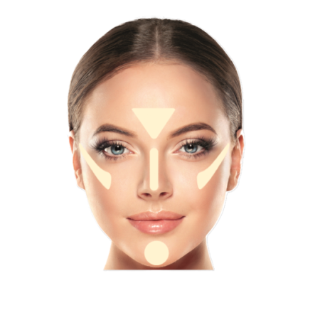 Pensula evantai PT901.F22 [1]