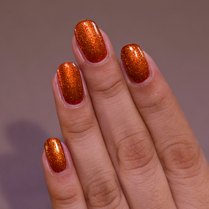 ILNP Pumpkin Patch [3]