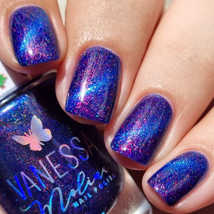 Lac de unghii By Vanessa Molina Shining House, 10 ml [3]