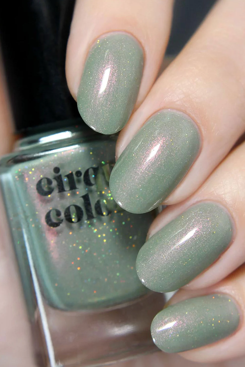 Cirque Colors Succulent Garden [2]