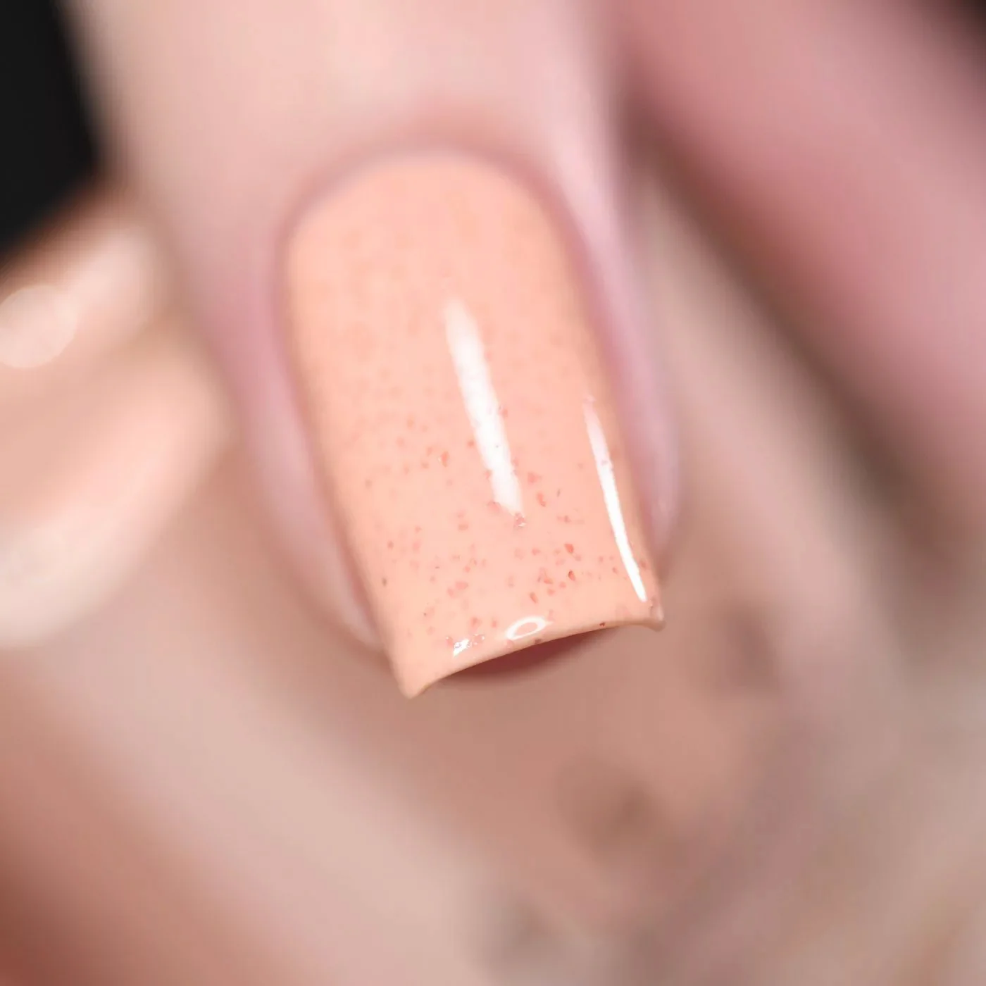 ILNP Cottontail [2]