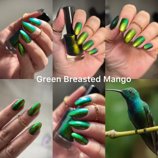 Lac de unghii Phoenix Indie Green Breasted Mango, 15 ml [5]
