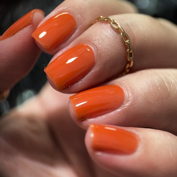 Lac de unghii Phoenix Indie Jaehaerys, 10 ml [3]