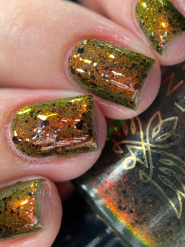 Lac de unghii Phoenix Indie Despair, 10 ml [3]