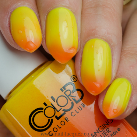 Color Club Festival Fun [1]