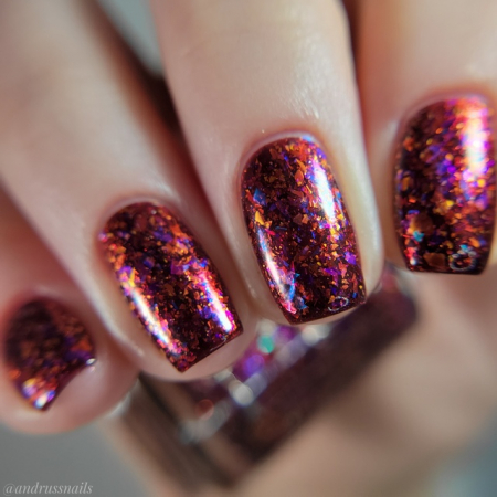 Cuticula Flames of a Phoenix [1]