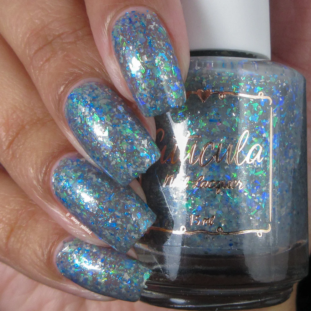 Cuticula Shark Reef [0]