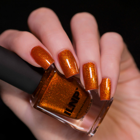ILNP Pumpkin Patch [1]