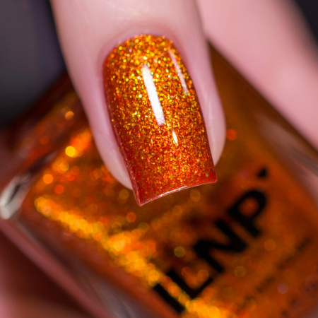 ILNP Pumpkin Patch [3]