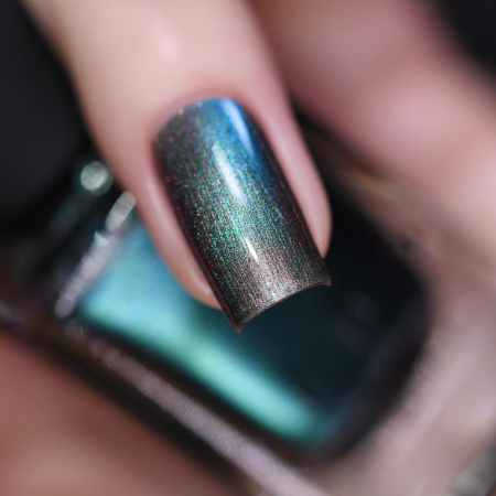 ILNP Stardust [2]