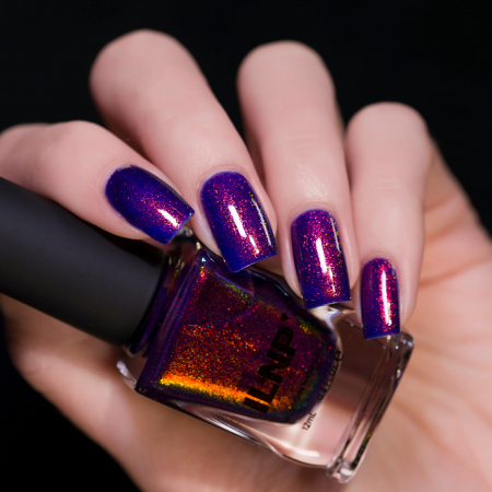 ILNP Hallucinate [1]