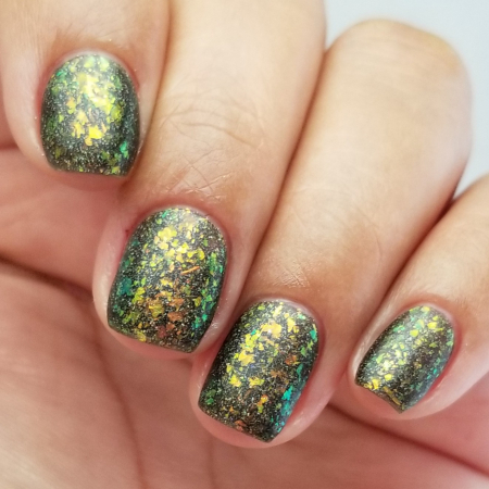 KBShimmer Hanging With My Grill Friends [2]