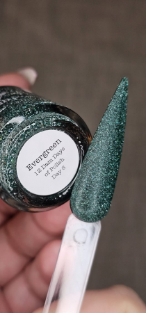 Lac de unghii Dam Nail Polish Evergreen, 15 ml [2]