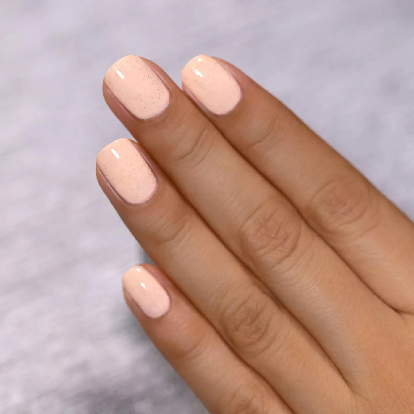 ILNP Cottontail [2]