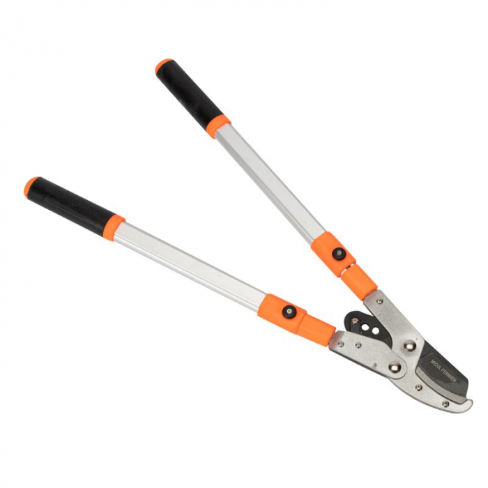 Foarfeca din aluminium extensibil pentru crengi [3]