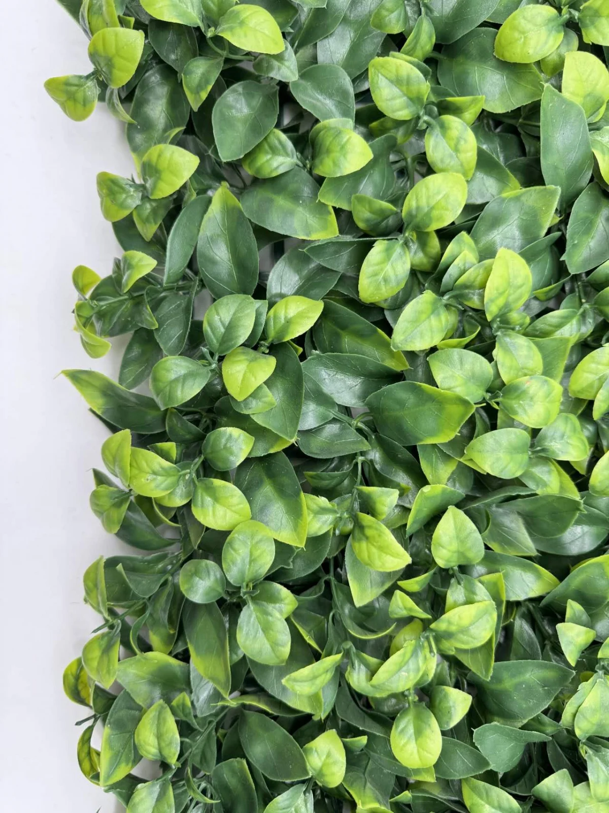 Panou Verde Din Plante Artificiale, 40cmx60cm [3]