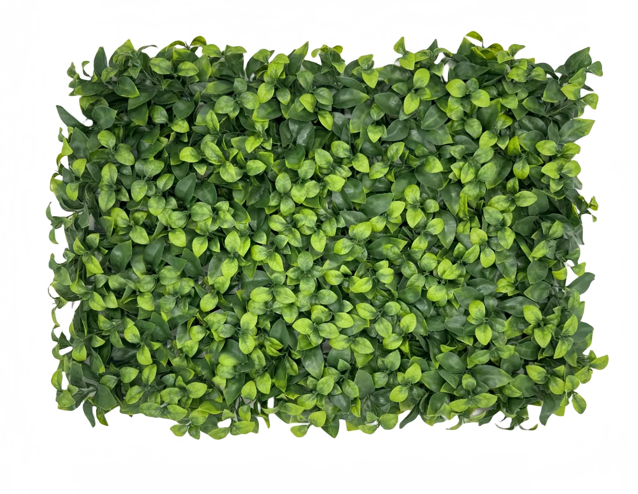 Decoratiuni - Panou Verde Din Plante Artificiale, 40cmx60cm