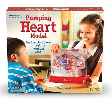 Learning-Resources-Set-educativ-copii-Cum-functioneaza-inima [2]