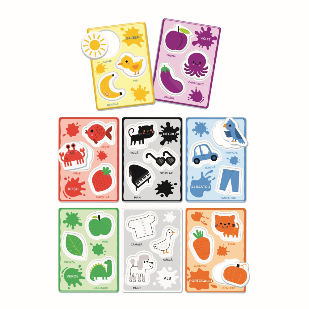 Agerino Baby Montessori Recunoasterea Culorilor [2]