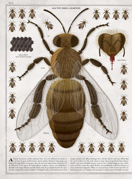 Frontiera-Albinele - carte gigantica, Piotr Socha, Wojciech Grajkowski [2]