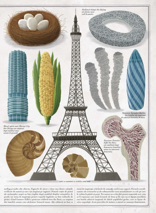 Frontiera-Albinele - carte gigantica, Piotr Socha, Wojciech Grajkowski [3]